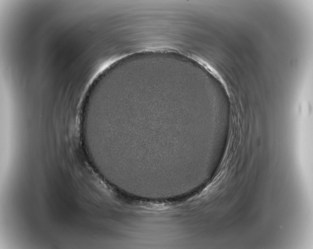 X0000085780975200703161202