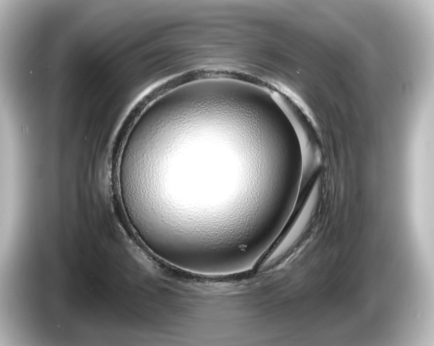 X0000085780976200703161202