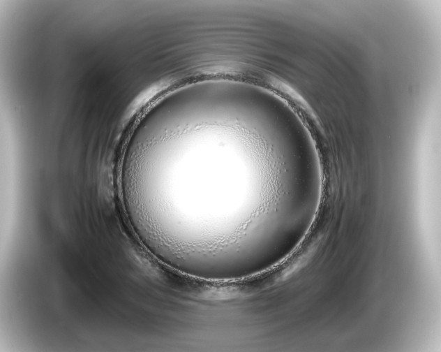 X0000085780978200703161202