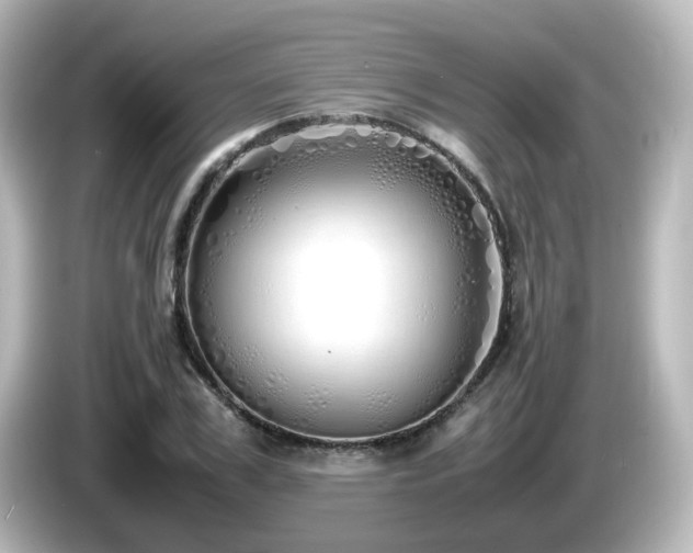 X0000085780979200703161202