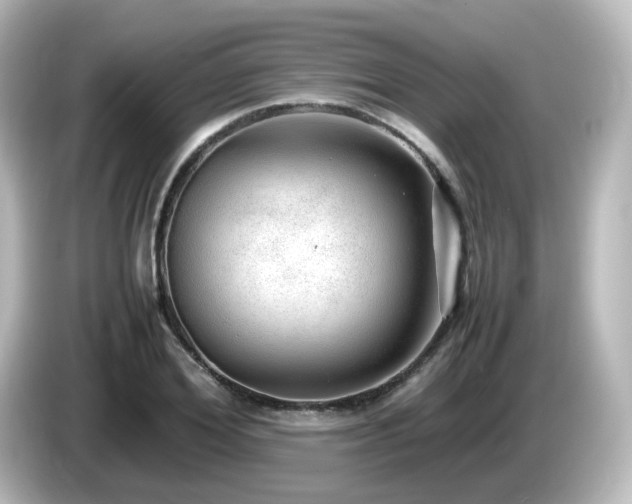 X0000085780980200703161202