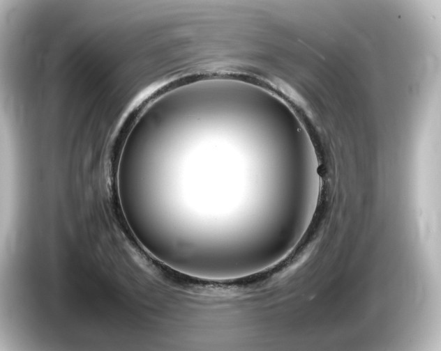 X0000085780981200703161202