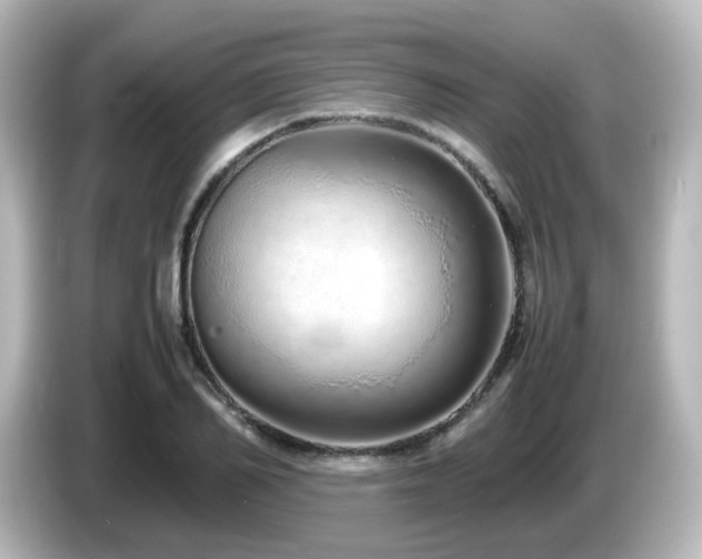 X0000085780982200703161202