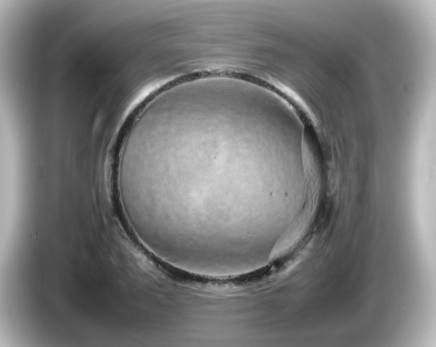 X0000085780983200703161202