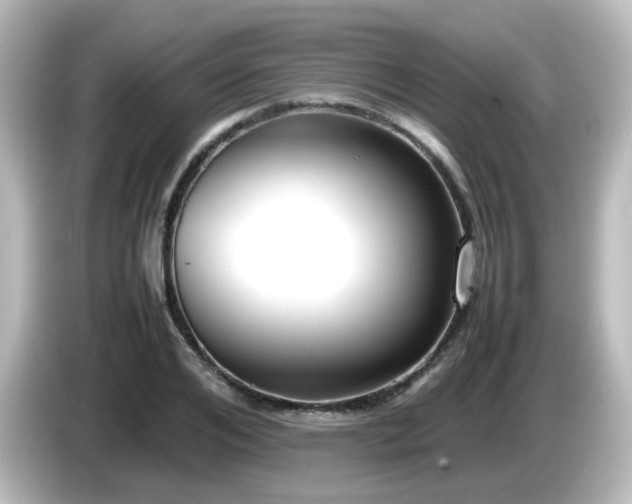 X0000085780984200703161202