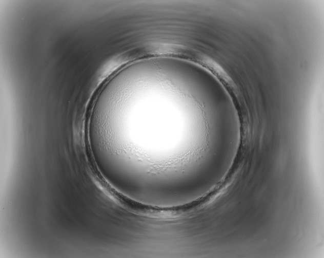 X0000085780986200703161202