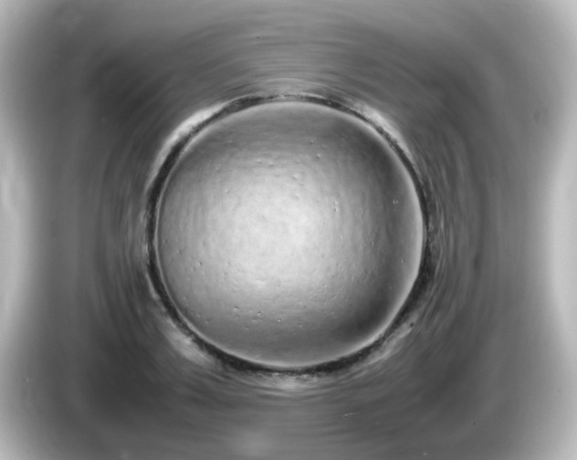 X0000085780987200703161201