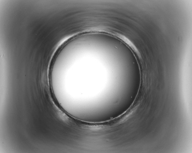 X0000085780988200703161201