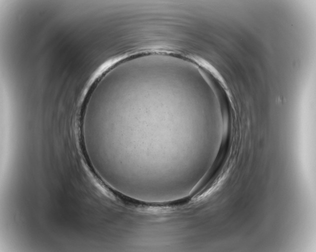 X0000085780989200703161201