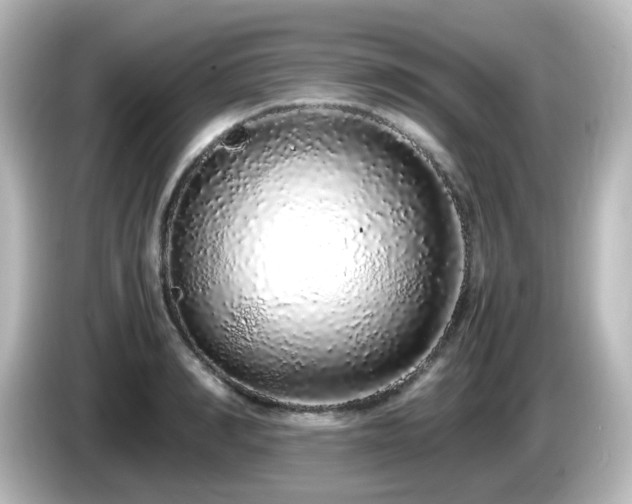 X0000085780990200703161201