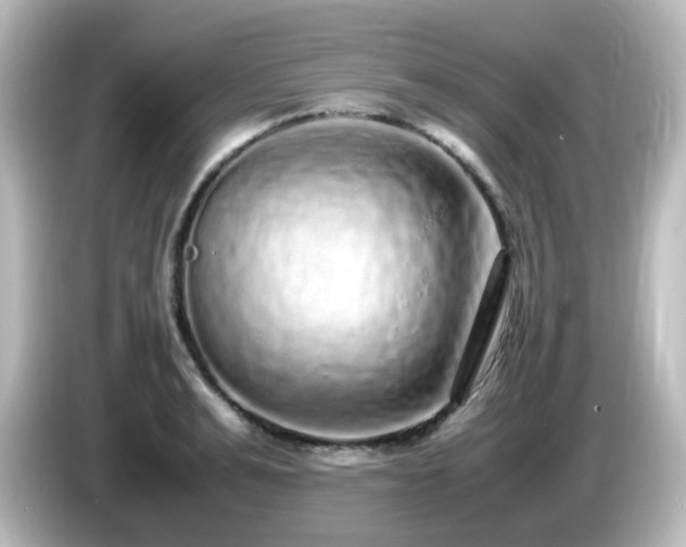 X0000085780991200703161201