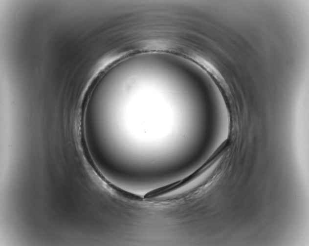 X0000085780992200703161201