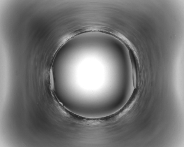 X0000085780993200703161201