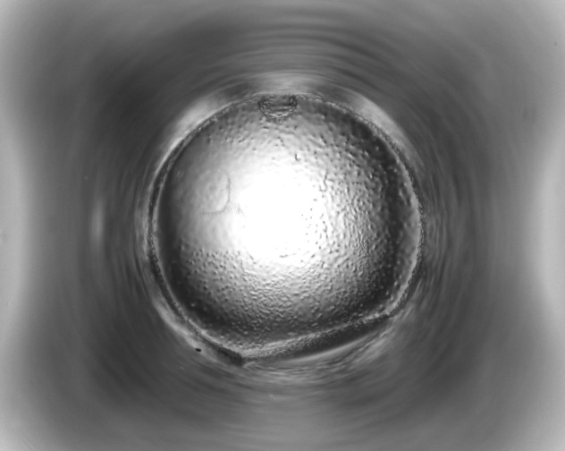 X0000085780994200703161201