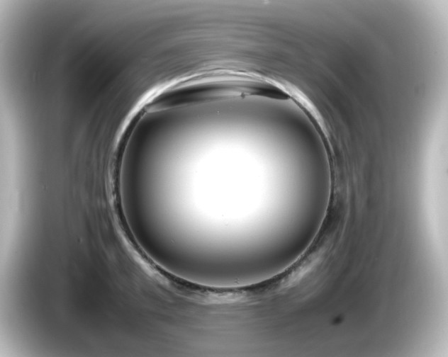 X0000085780997200703161201