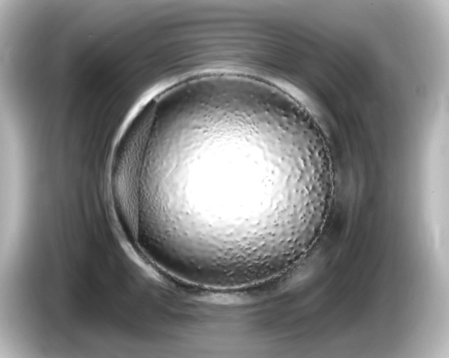 X0000085780998200703161201