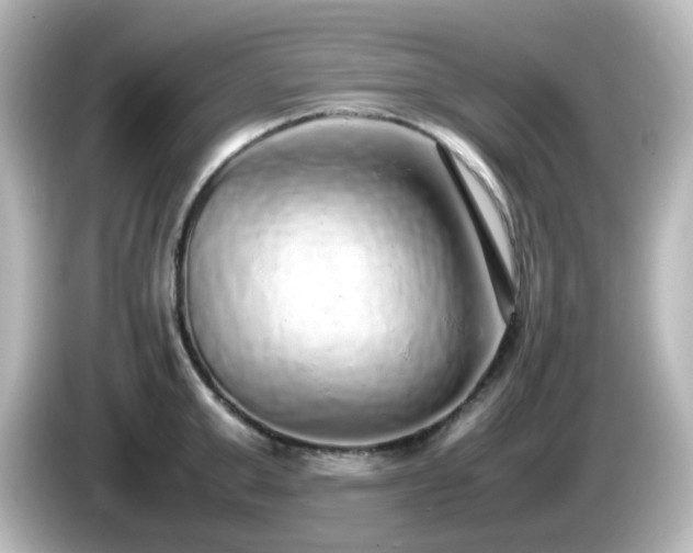 X0000085780999200703161201