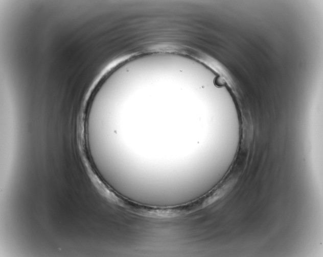 X0000085781000200703161201