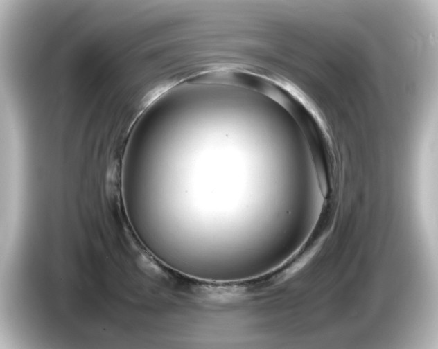 X0000085781001200703161201