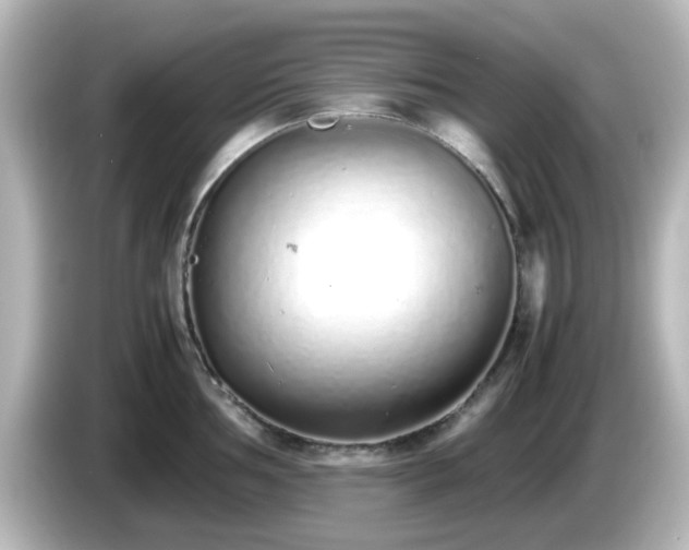 X0000085781002200703161201