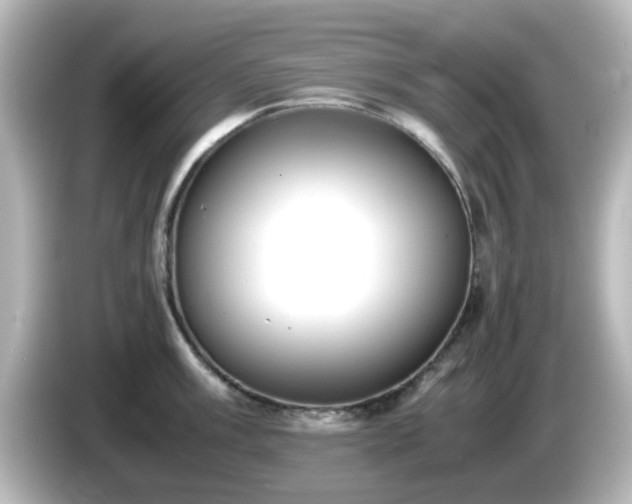 X0000085781003200703161201