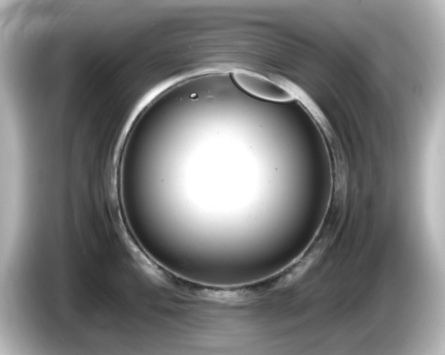 X0000085781004200703161201