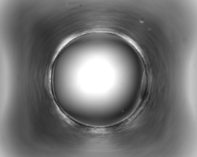 X0000085781006200703161201