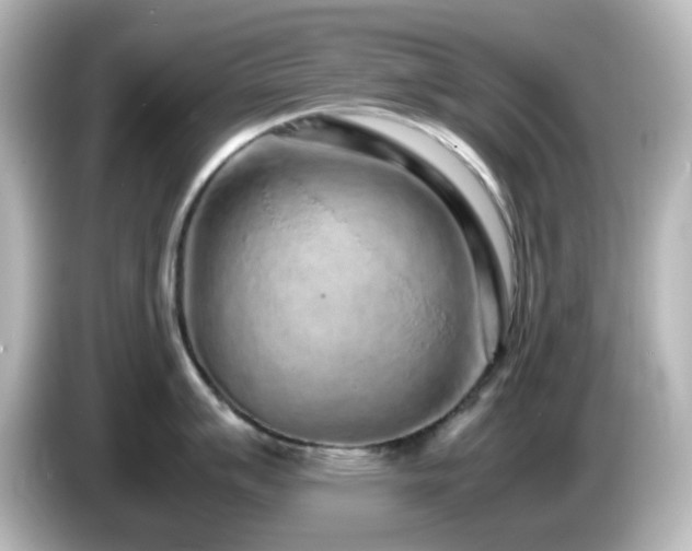 X0000085781007200703161201