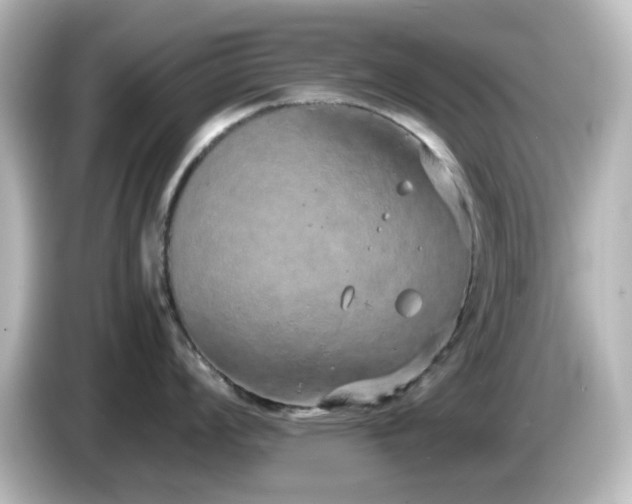 X0000085781008200703161201