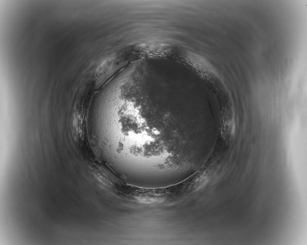 X0000085781010200703161200