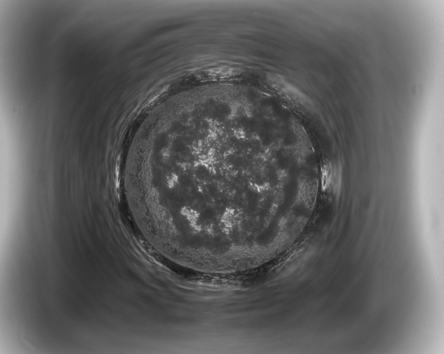 X0000085781011200703161200