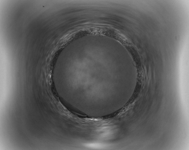 X0000085781013200703161200