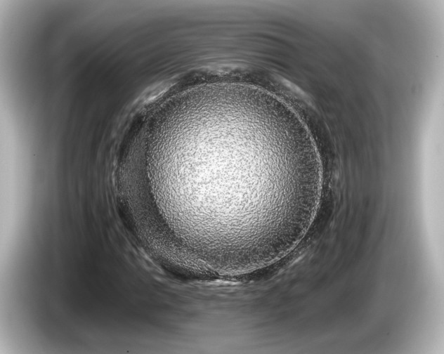 X0000085781014200703161200