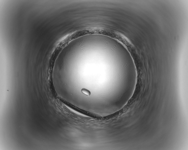 X0000085781016200703161200