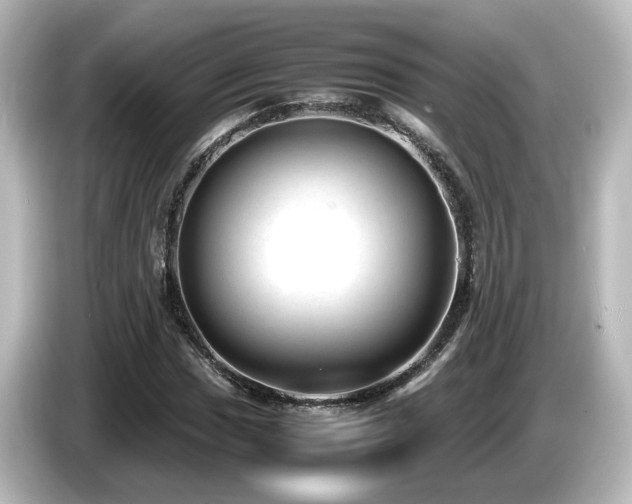 X0000085781017200703161200