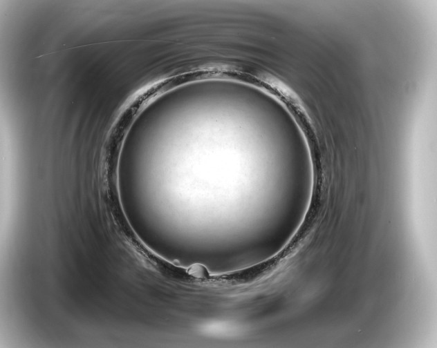 X0000085781019200703161200