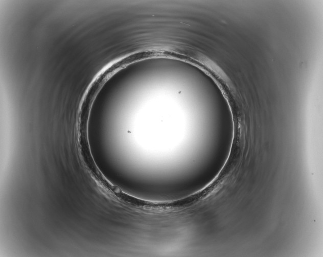 X0000085781020200703161200