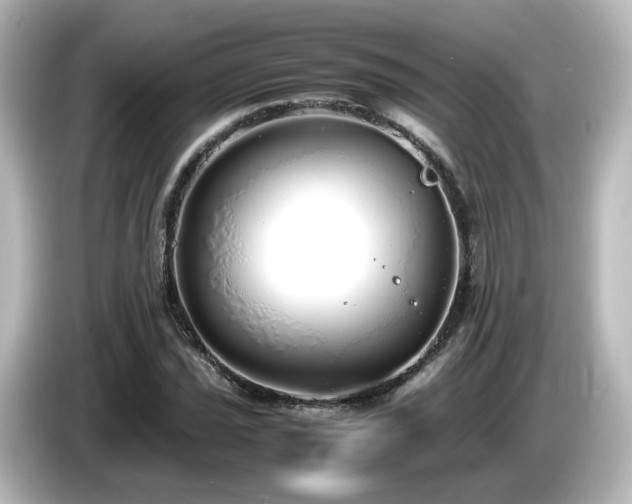 X0000085781021200703161200