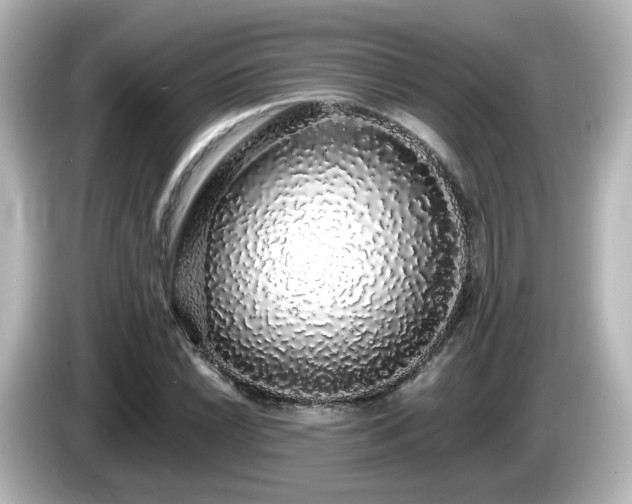 X0000085781022200703161200