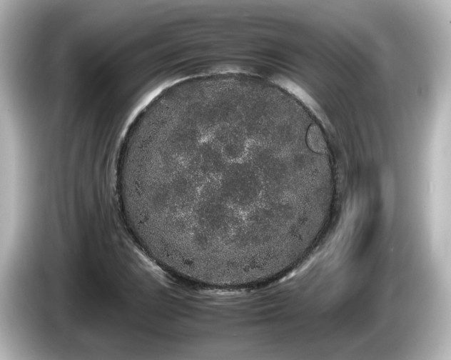 X0000085781023200703161200