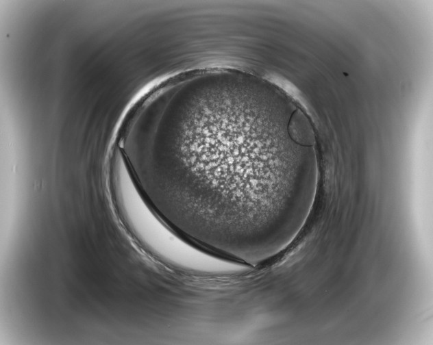 X0000085781024200703161200