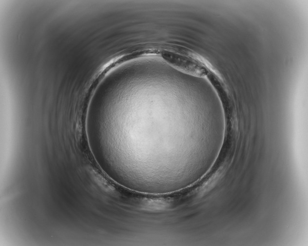 X0000085781025200703161200
