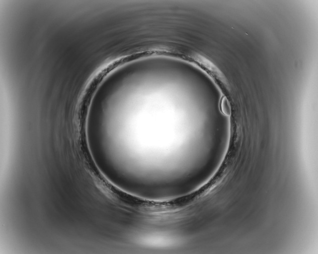 X0000085781027200703161200