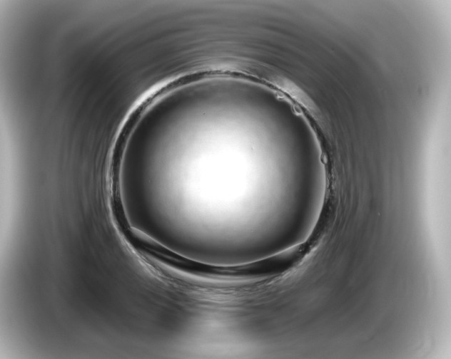 X0000085781028200703161201