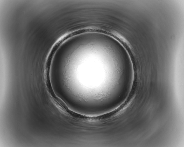 X0000085781029200703161201