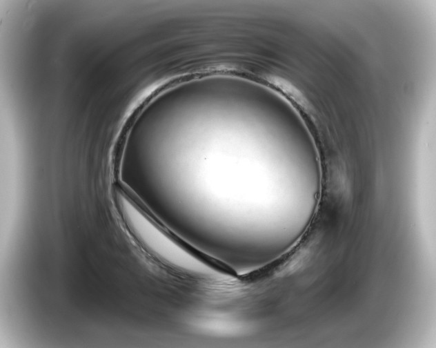 X0000085781031200703161201