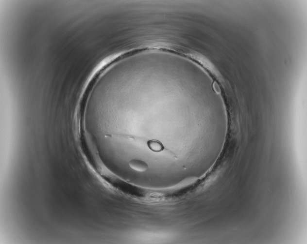 X0000085781032200703161201