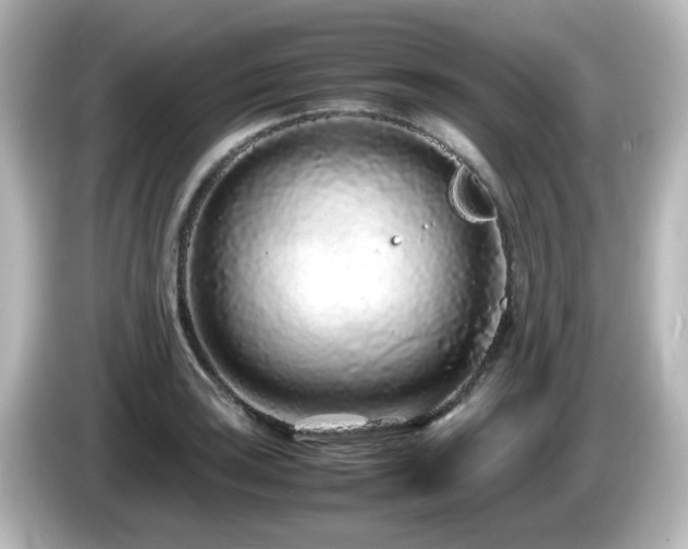 X0000085781035200703161201