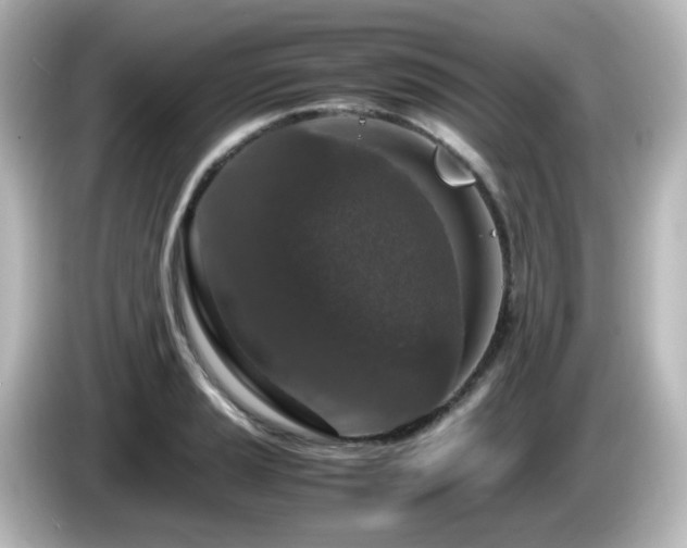 X0000085781037200703161201