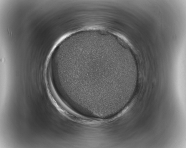 X0000085781038200703161201